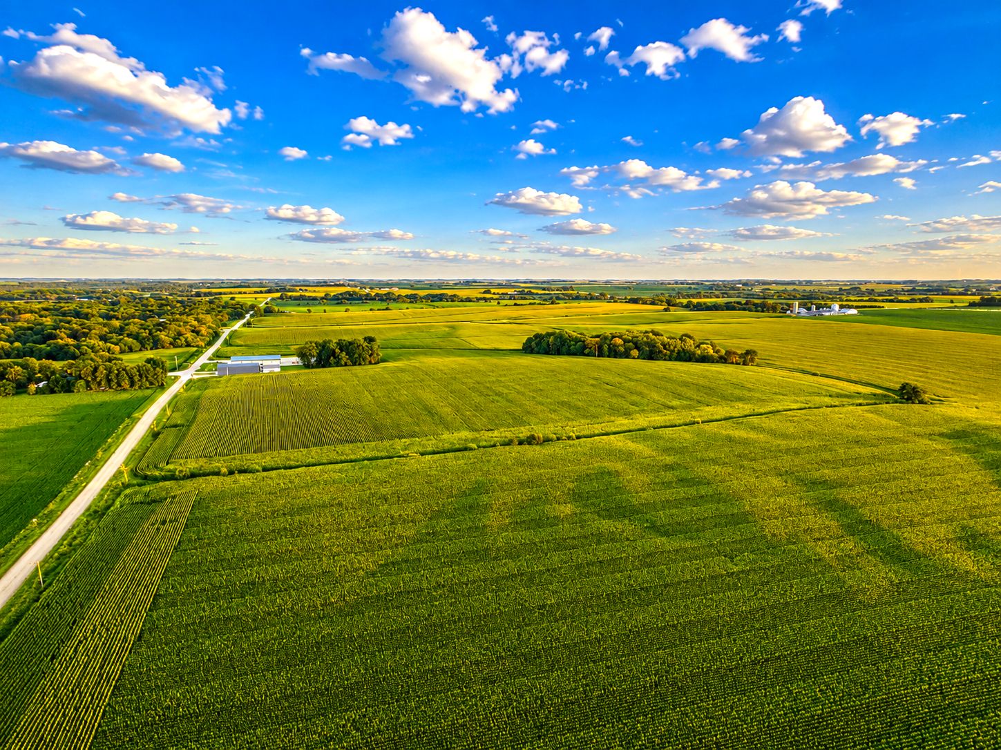 Listing Photo: Farmland-For-Sale